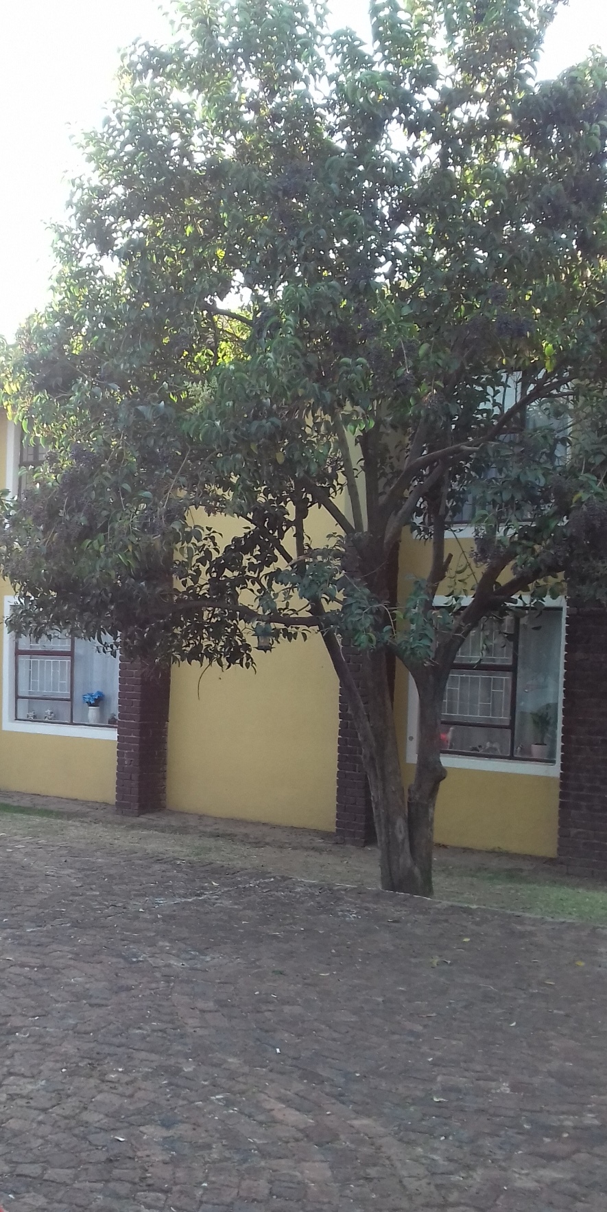 2 Bedroom Property for Sale in Vaalpark Free State